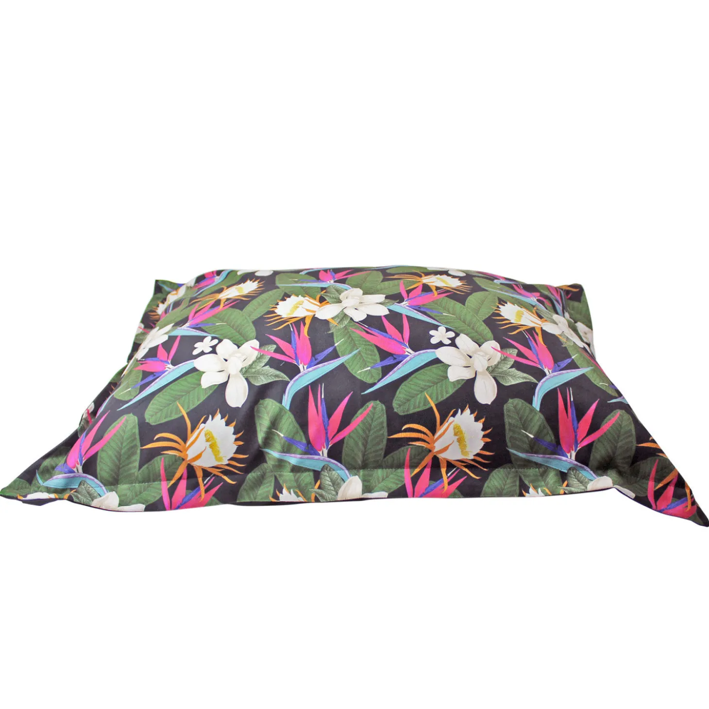 Bird of Paradise Cloud Pillow