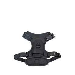 Black Embroidered Dog Harness