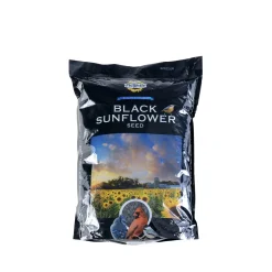Black Oil Sunflower Seeds for Wild Birds, 2 kg