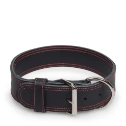 Black stitched leather collar