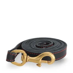 Black stitched leather leash
