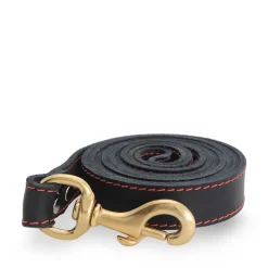 Black stitched leather leash