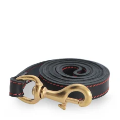 Black stitched leather leash