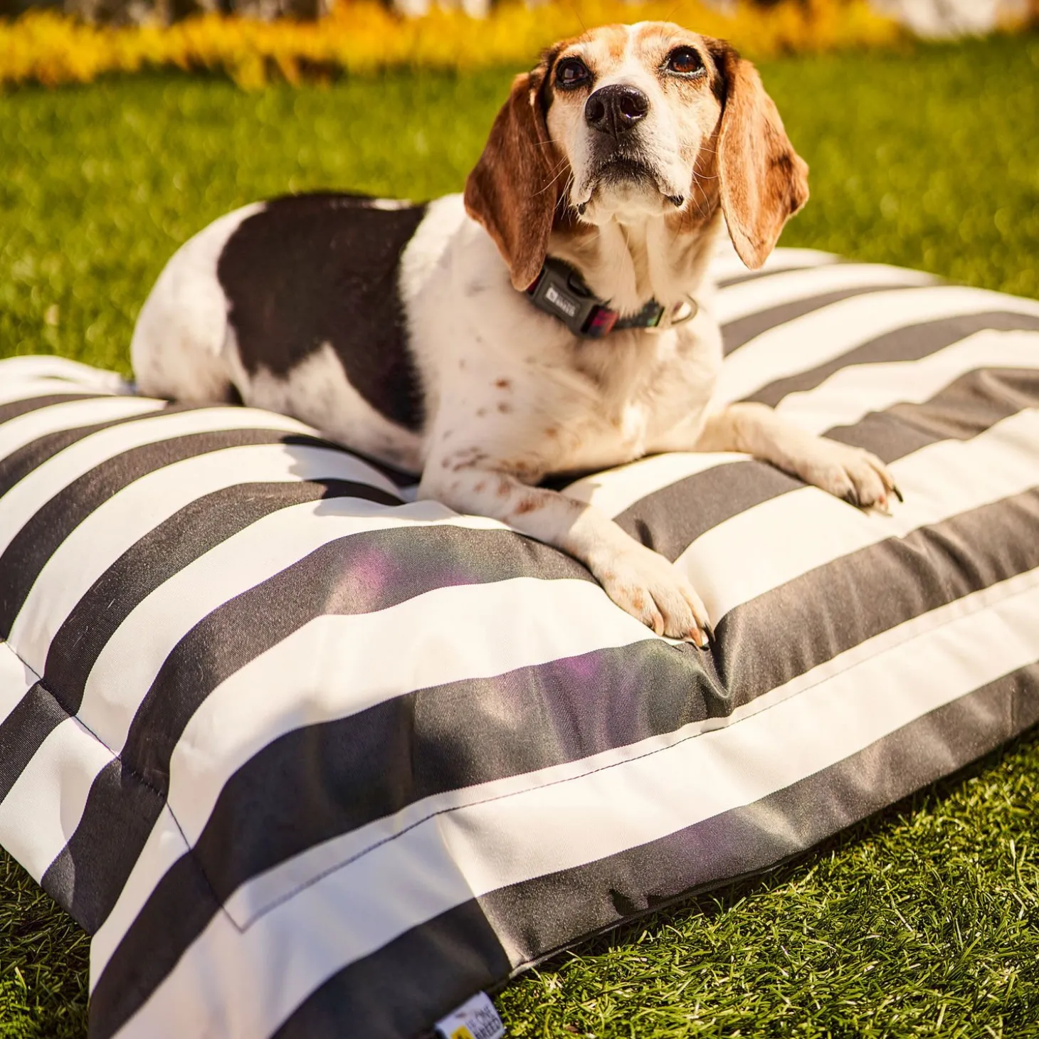 Black Stripes Outdoor Cloud Pillow Cover