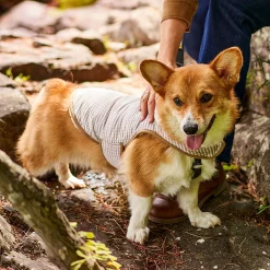 Blanket Jacket for Small Dogs