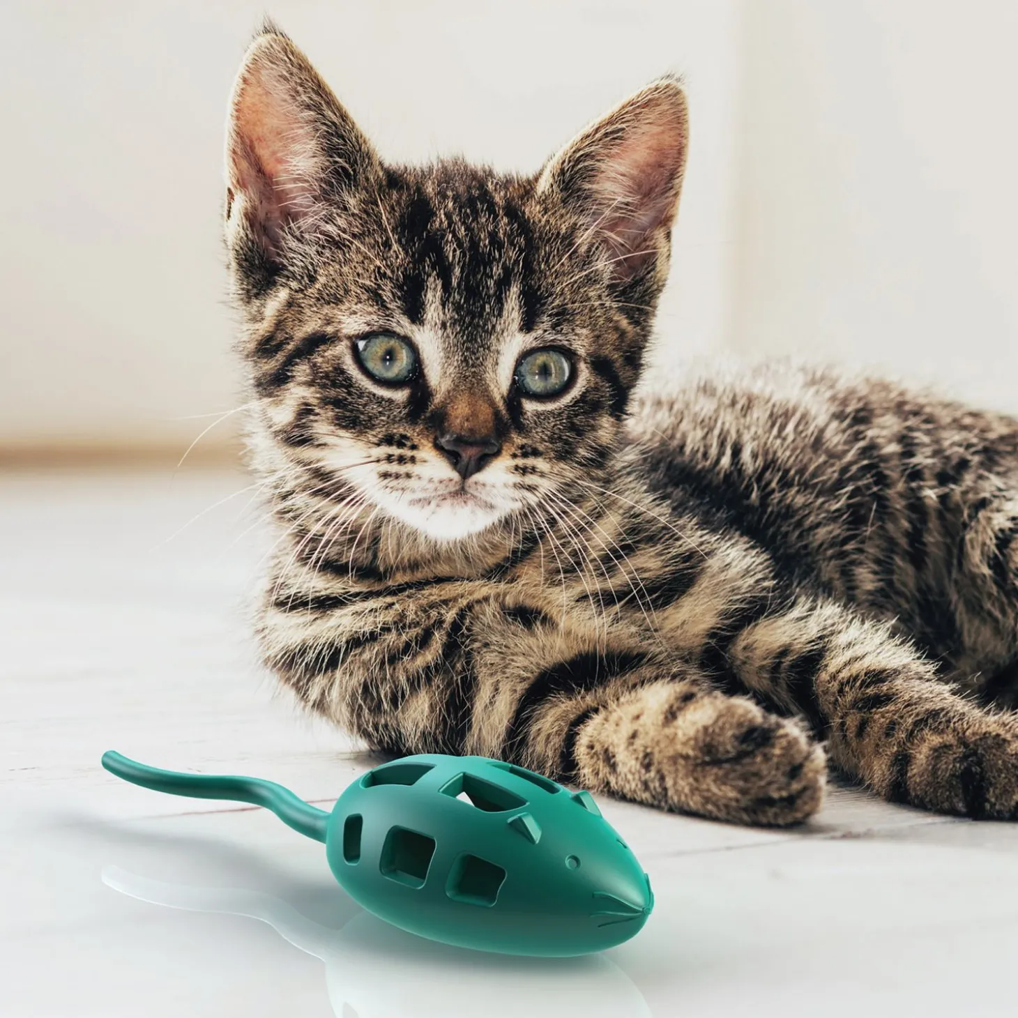 Blue cat treat mouse toys