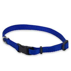 Blue nylon collar