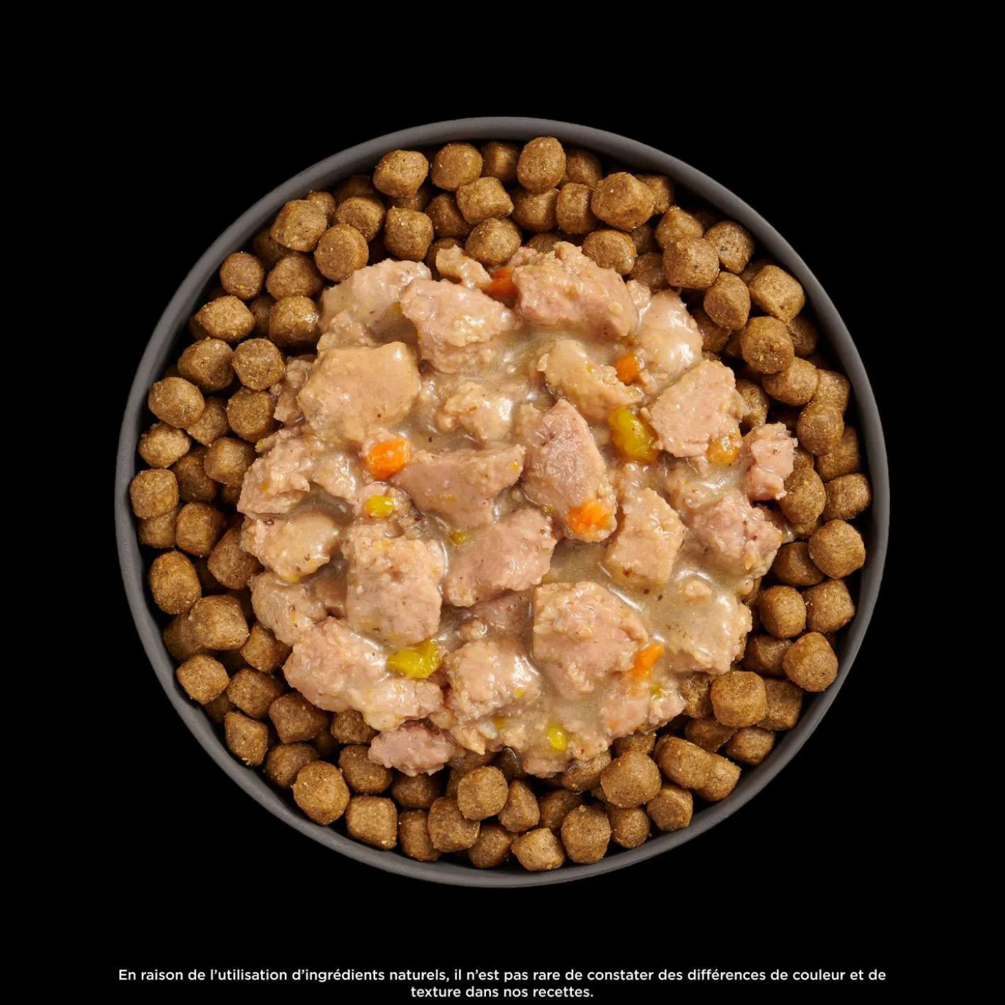 Booster Brain Health Minced Chicken and Salmon with Gravy for Cats, 71 g