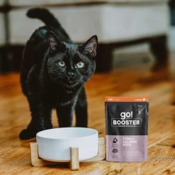 Booster Brain Health Tuna and Salmon Pâté for Cats, 71 g