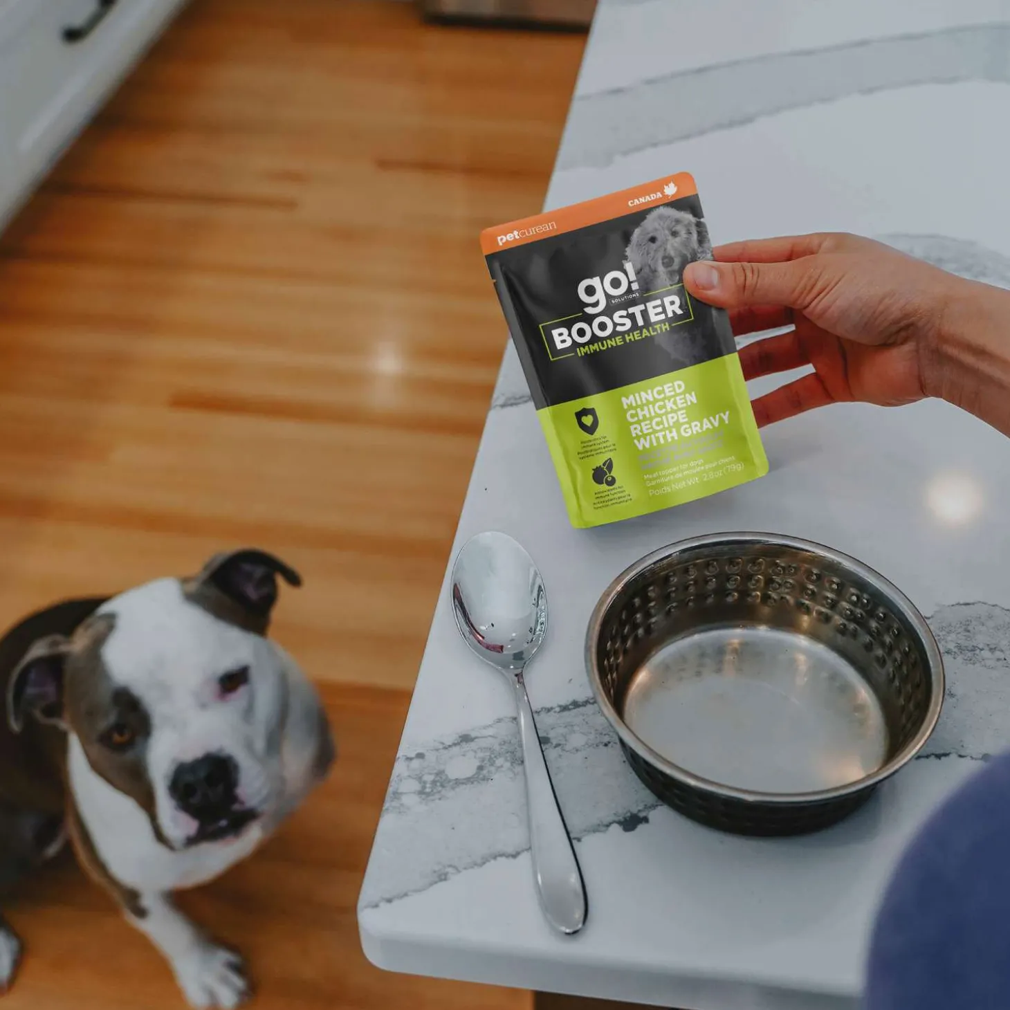 Booster Immune Health Minced Chicken with Gravy Meal Topper for Dogs, 79 g
