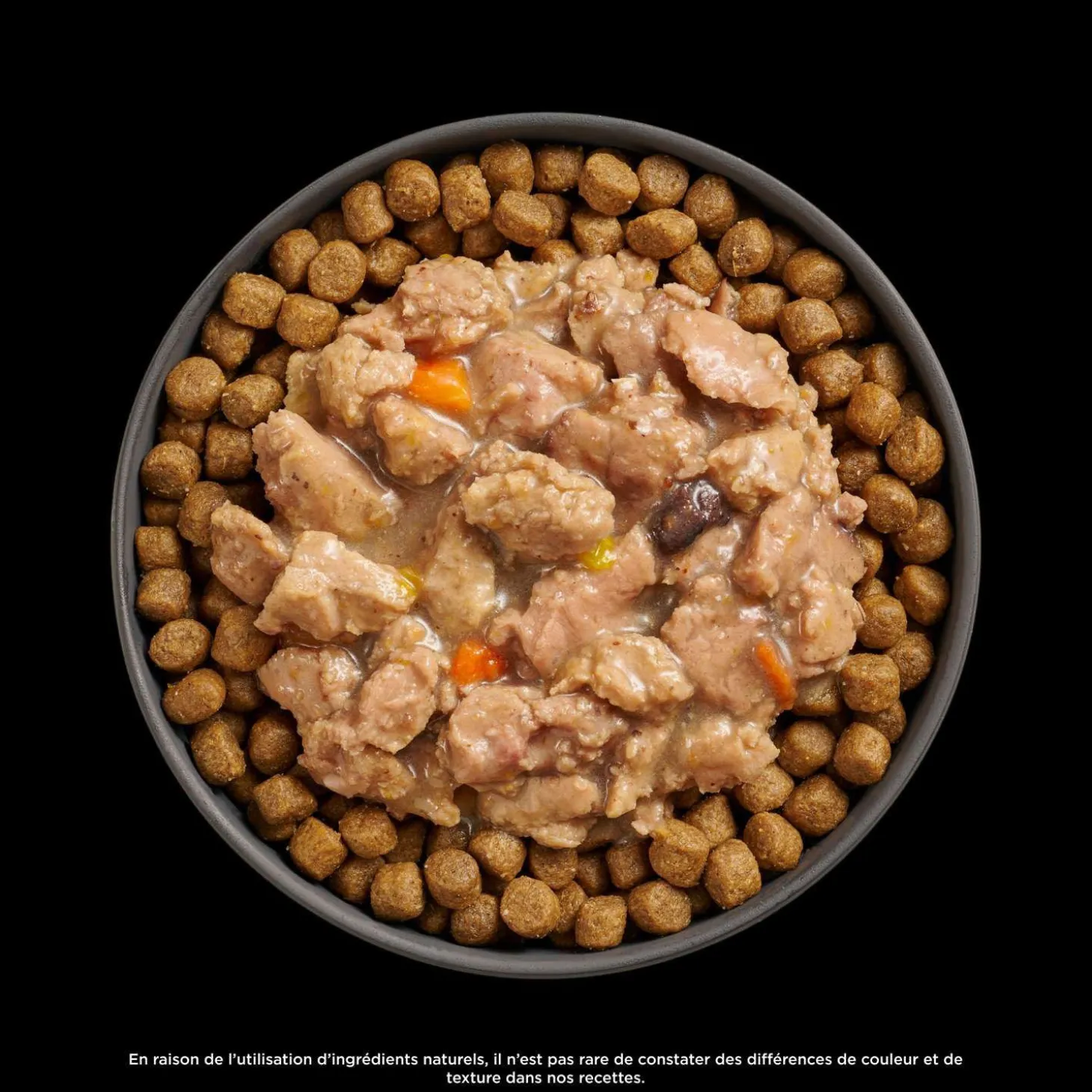 Booster Immune Health Minced Chicken and Salmon with Gravy for Cats, 71 g