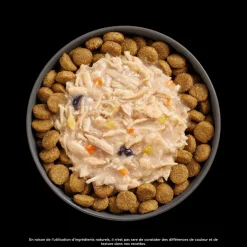 Booster Immune Health Shredded Chicken and Salmon in Broth Meal Topper for Dogs, 79 g