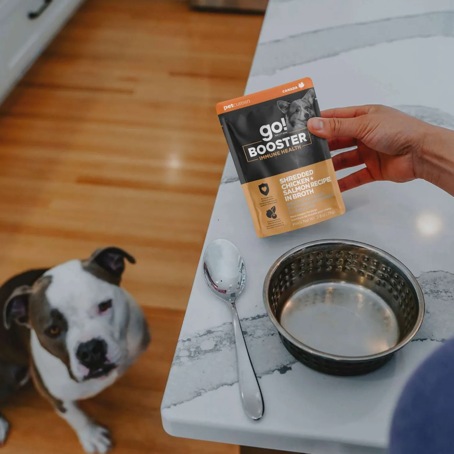 Booster Immune Health Shredded Chicken and Salmon in Broth Meal Topper for Dogs, 79 g