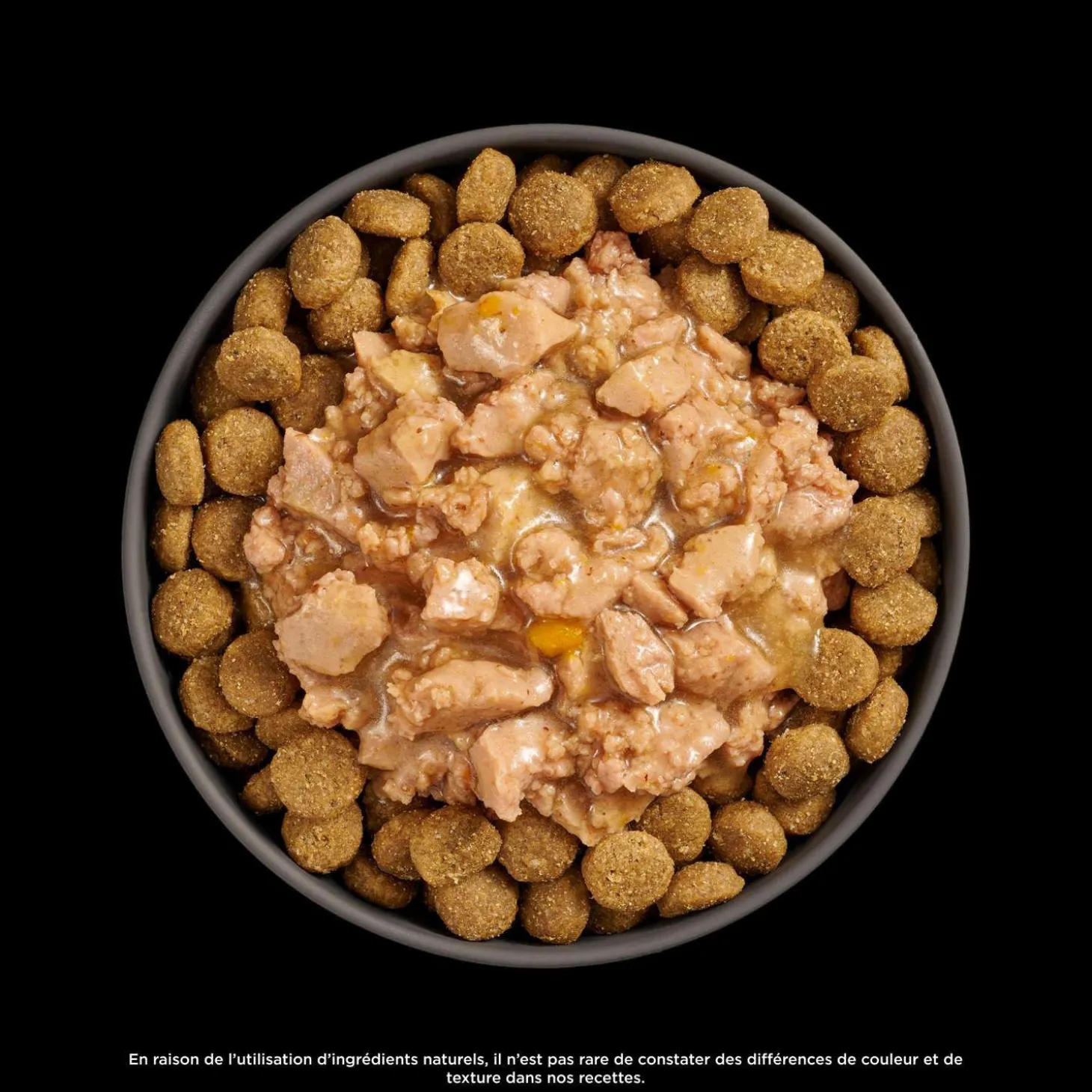 Booster Joint Care Minced Chicken with Gravy Meal Topper for Dogs, 79 g
