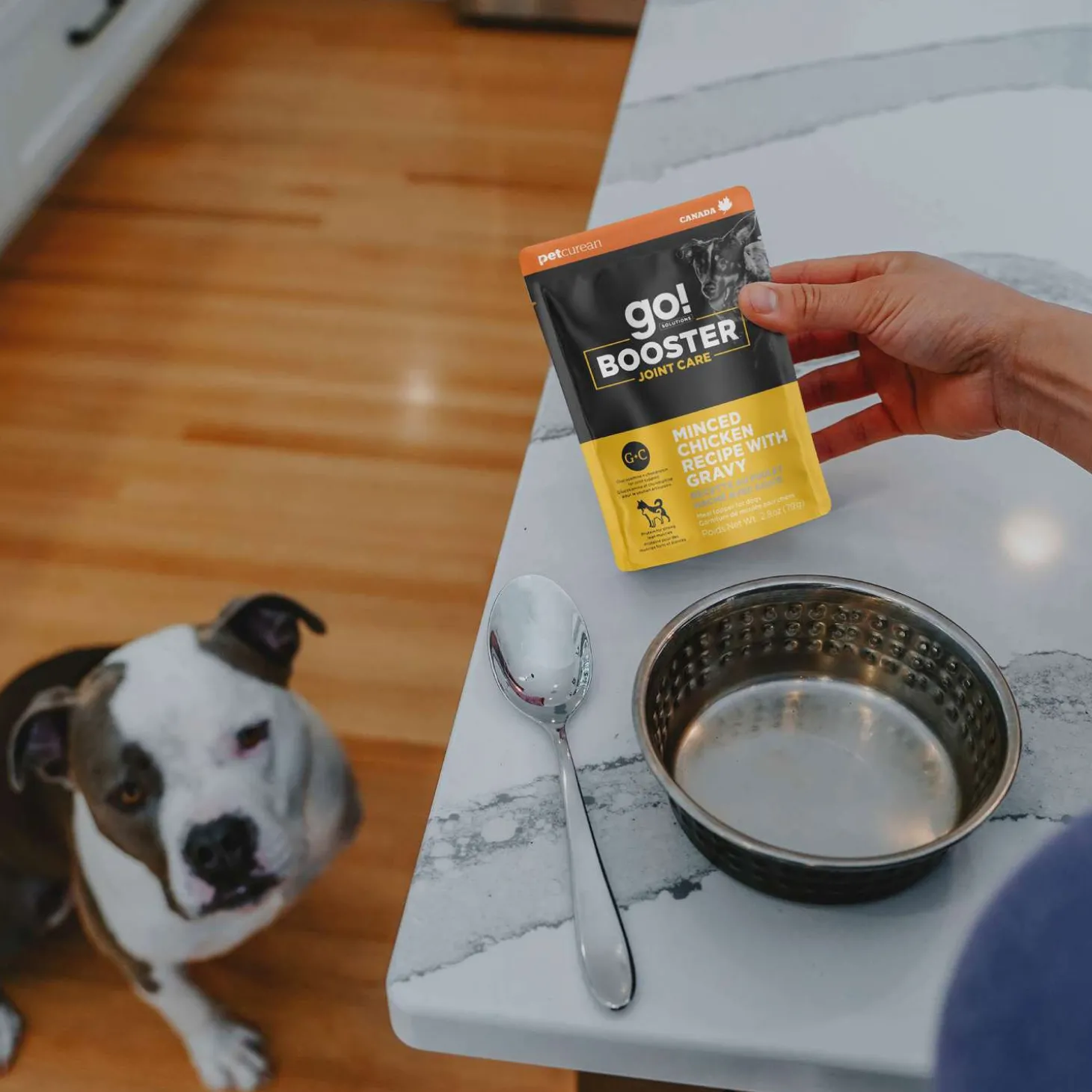Booster Joint Care Minced Chicken with Gravy Meal Topper for Dogs, 79 g