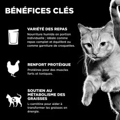 Booster Weight Management Shredded Chicken and Duck in Broth for Cats, 71 g