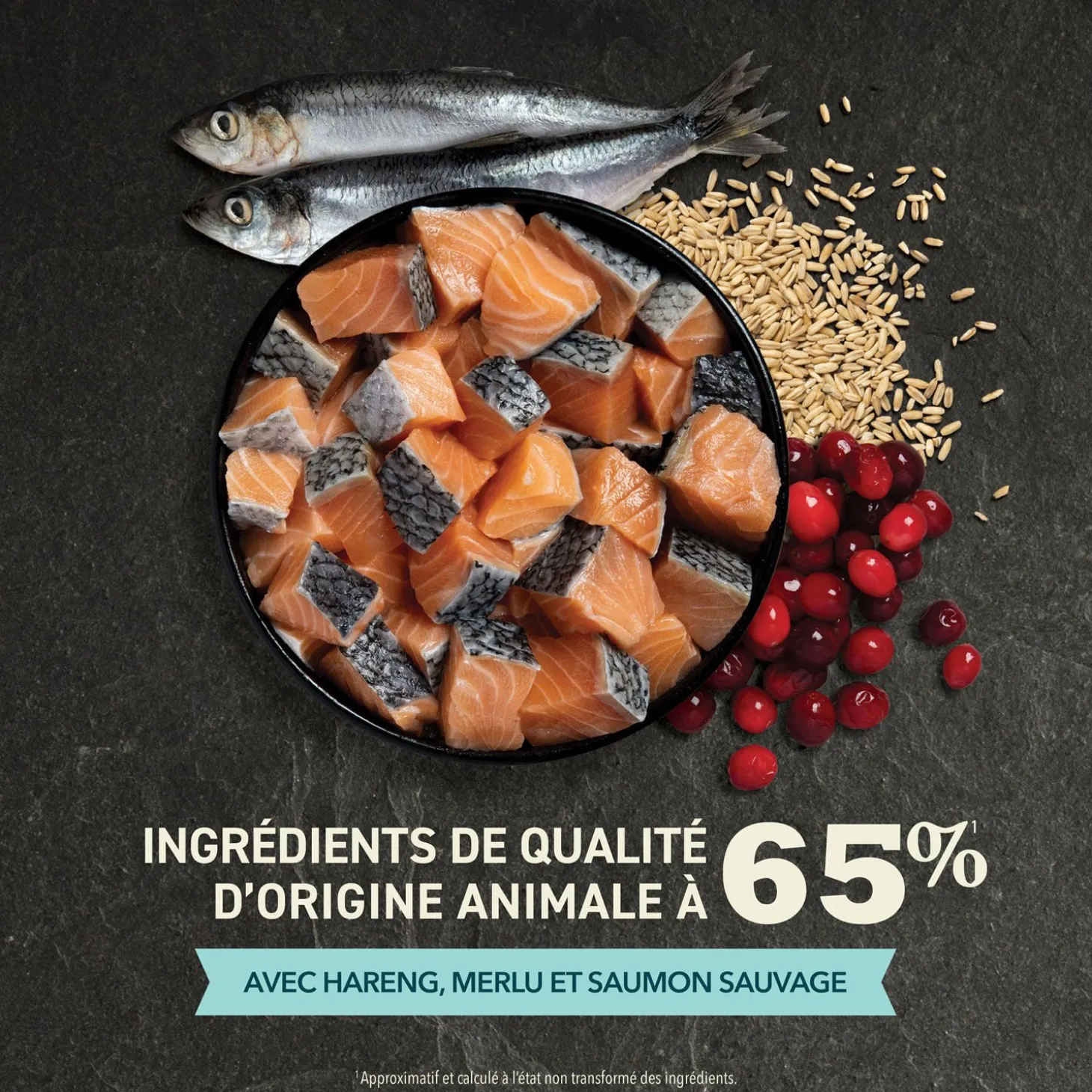 Bountiful Catch Dry Cat Food, 1.8 kg