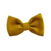 Bow Tie for Cats and Dogs
