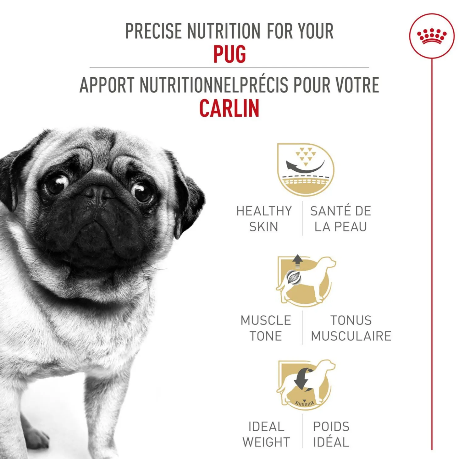 Breed Health Nutrition® Adult Pug Dry Dog Food