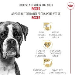 Breed Health Nutrition® Boxer Adult Dry Dog Food