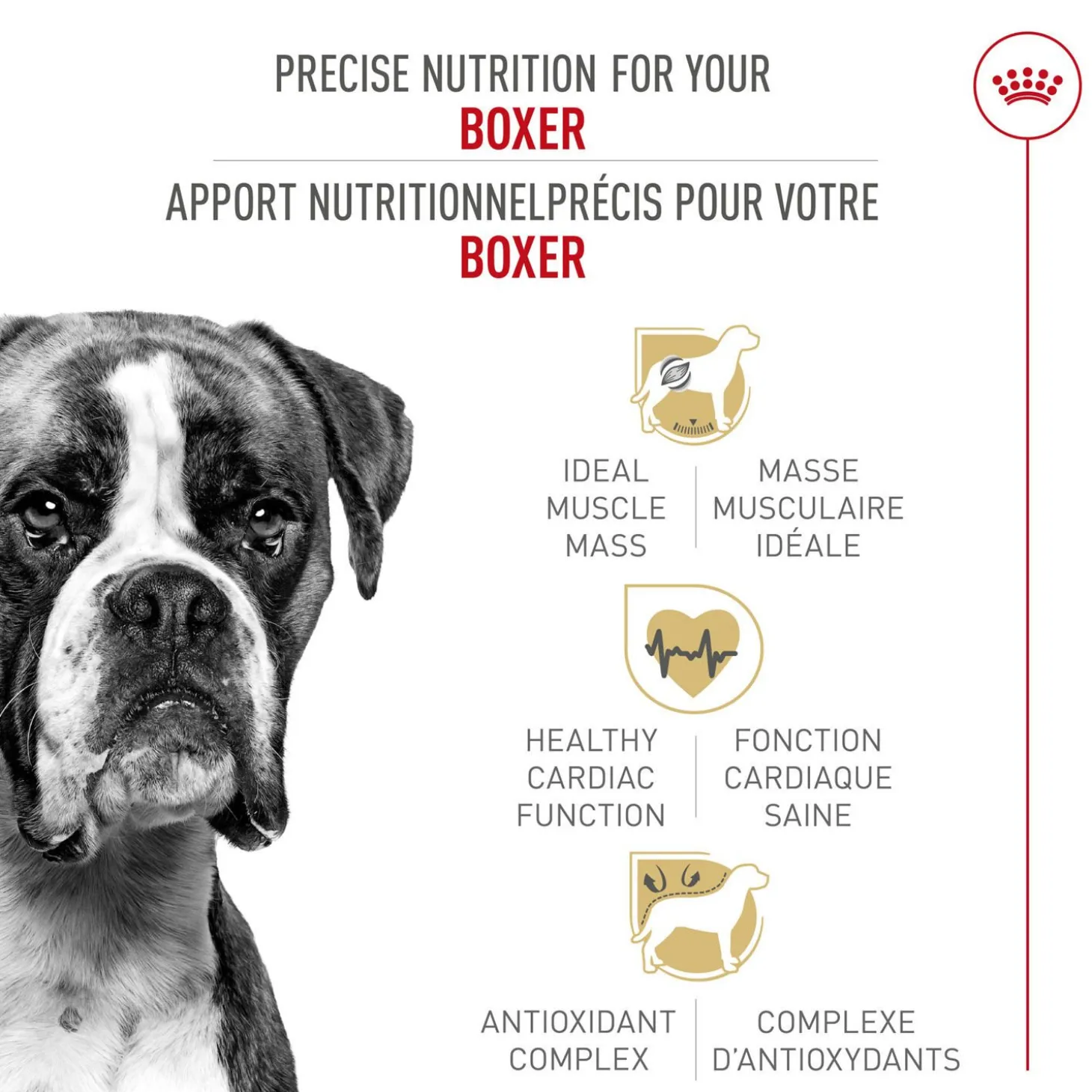 Breed Health Nutrition® Boxer Adult Dry Dog Food