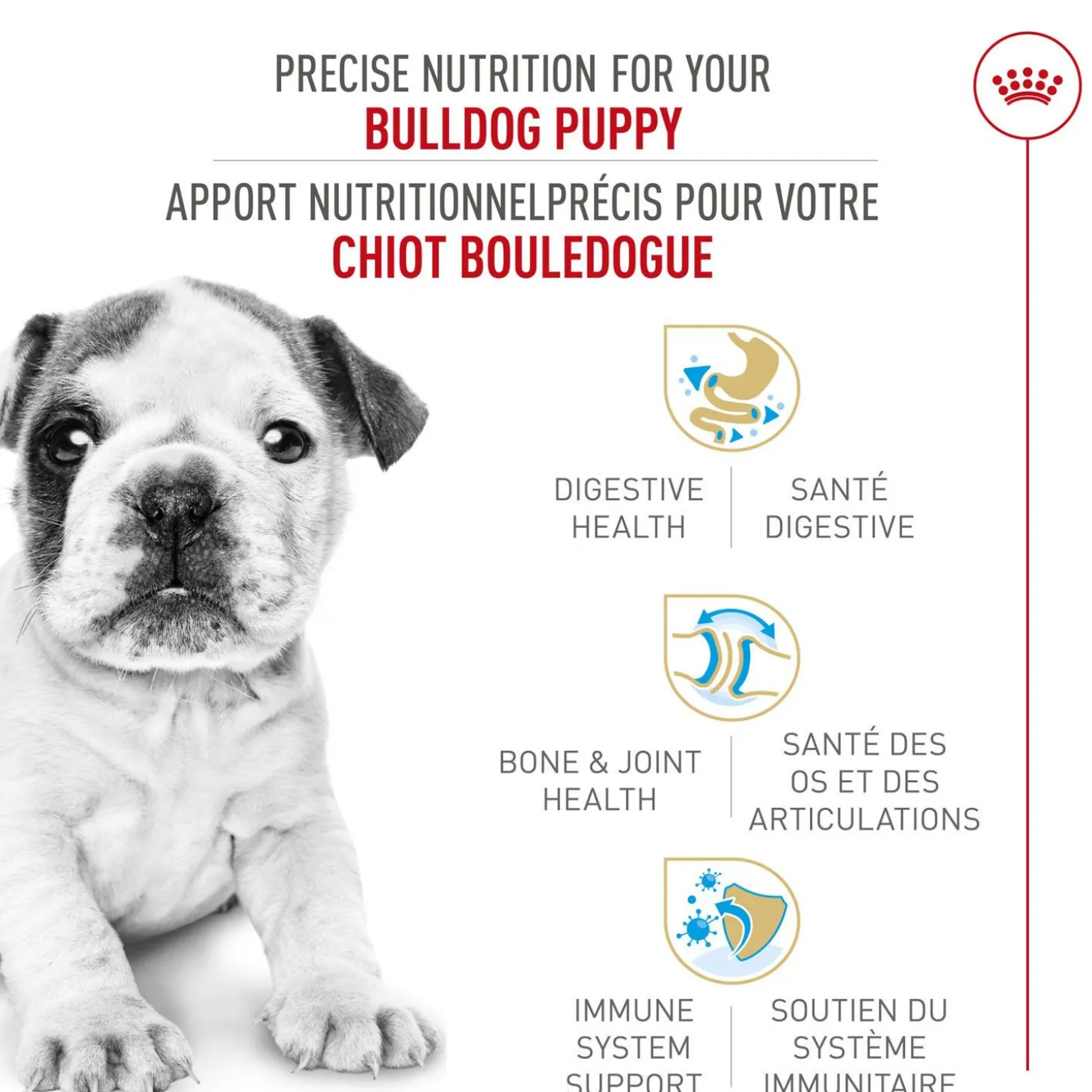 Breed Health Nutrition® Bulldog Puppy Dry Puppy Food