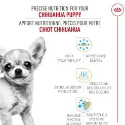 Breed Health Nutrition® Chihuahua Puppy Dry Food