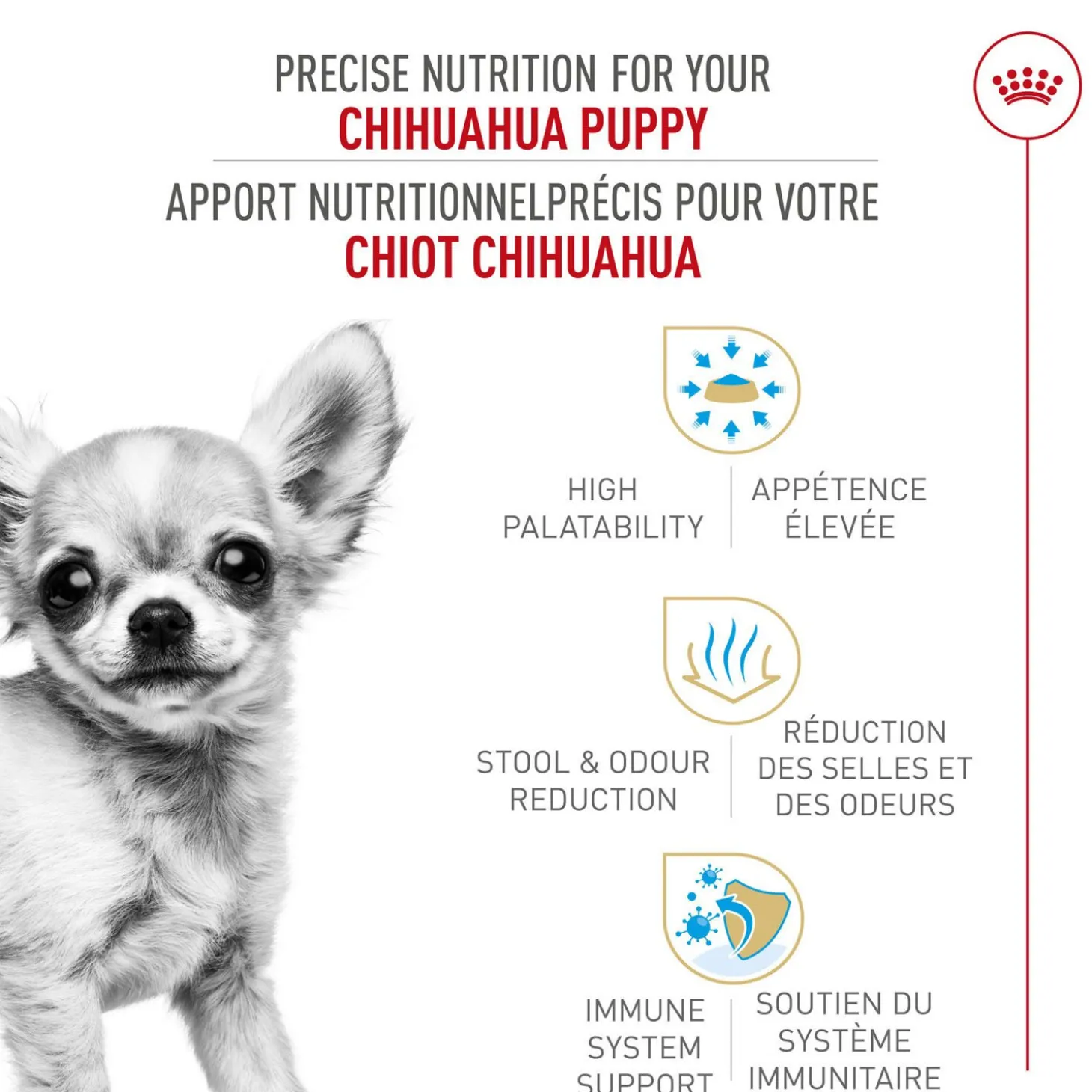 Breed Health Nutrition® Chihuahua Puppy Dry Food
