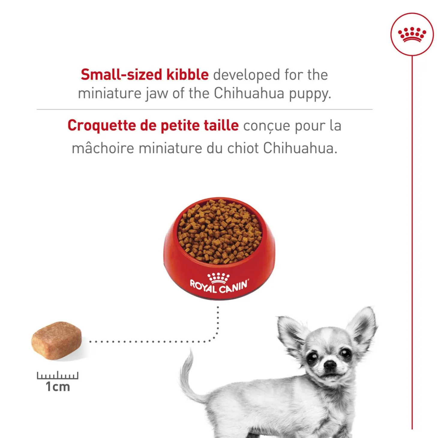 Breed Health Nutrition® Chihuahua Puppy Dry Food
