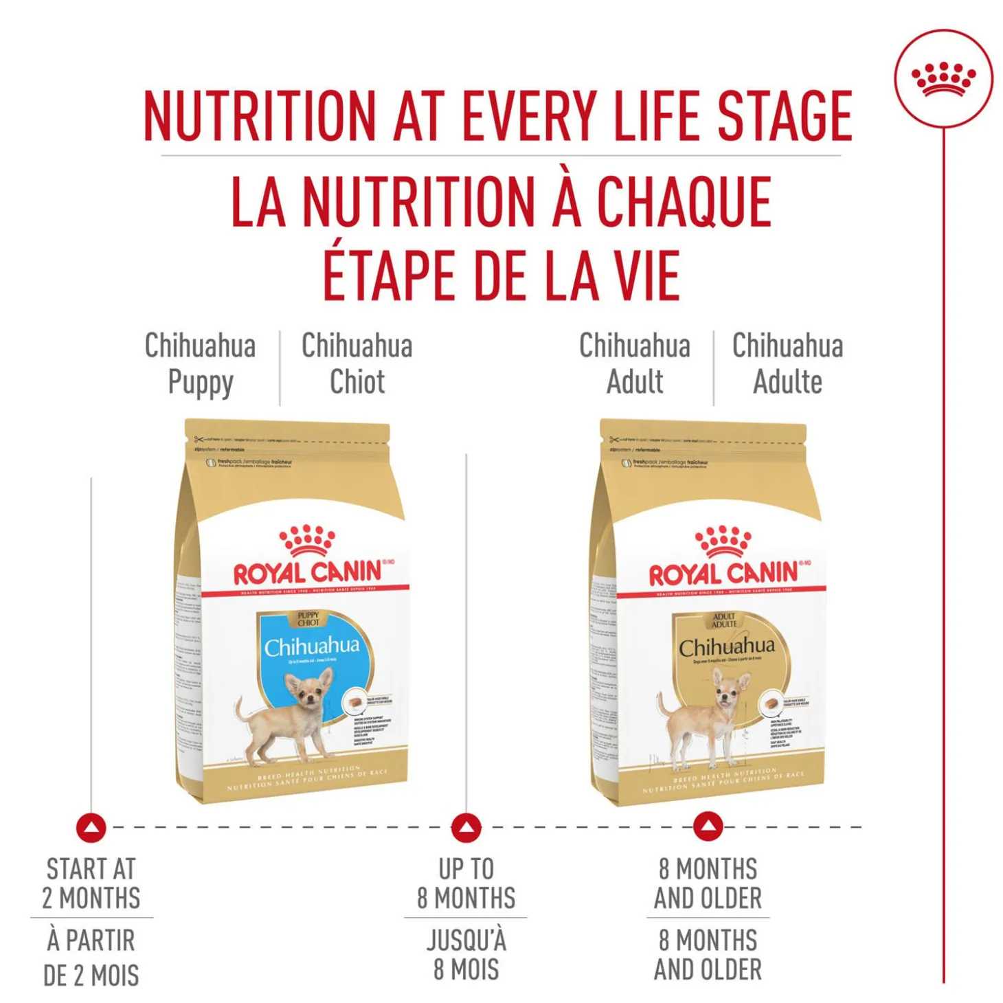 Breed Health Nutrition® Chihuahua Puppy Dry Food