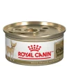Breed Health Nutrition® Chihuahua Adult Canned Dog Food