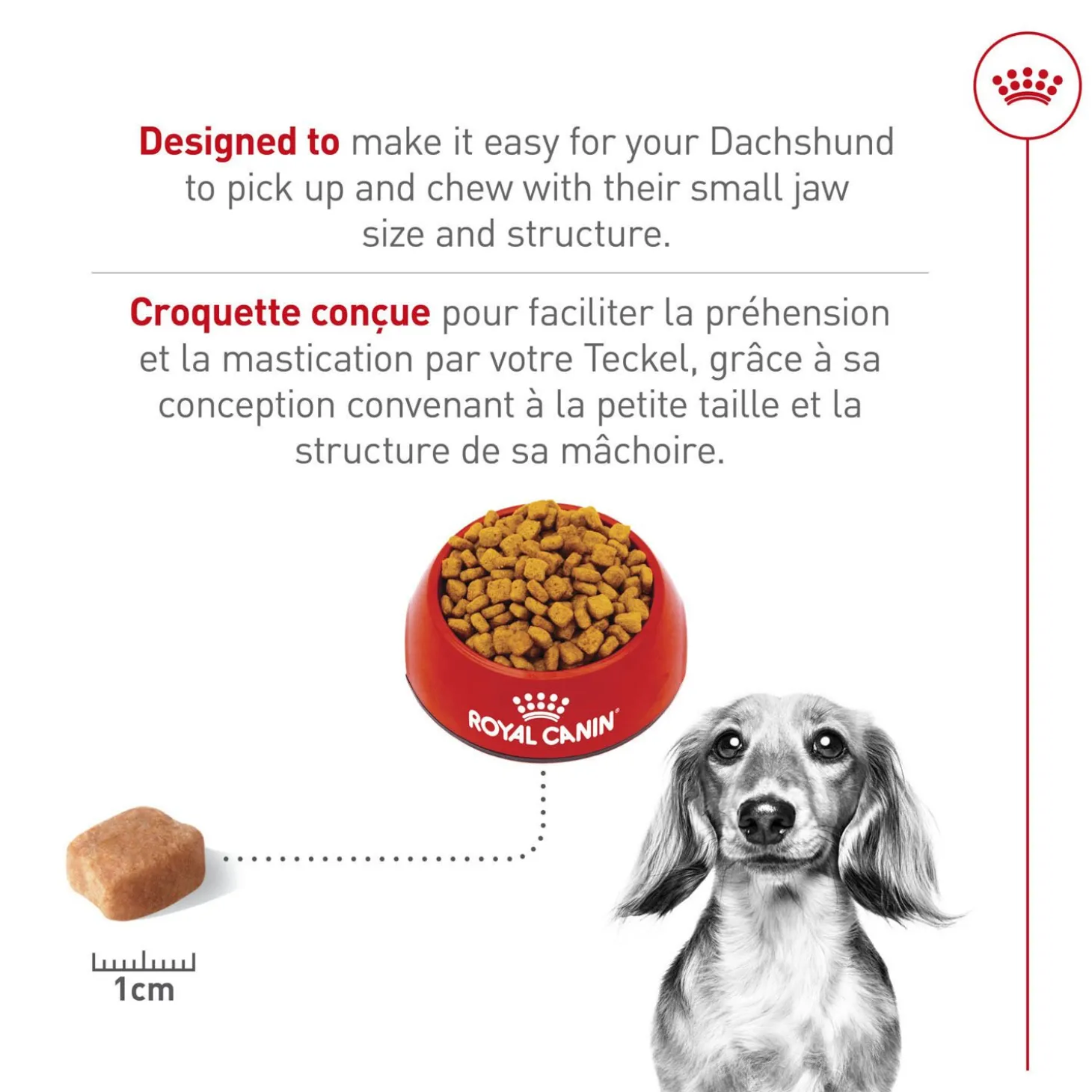 Breed Health Nutrition® Dachshund Adult Dry Dog Food