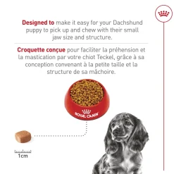 Breed Health Nutrition® Dachshund Puppy Dry Food