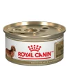 Breed Health Nutrition® Dachshund Adult Canned Dog Food
