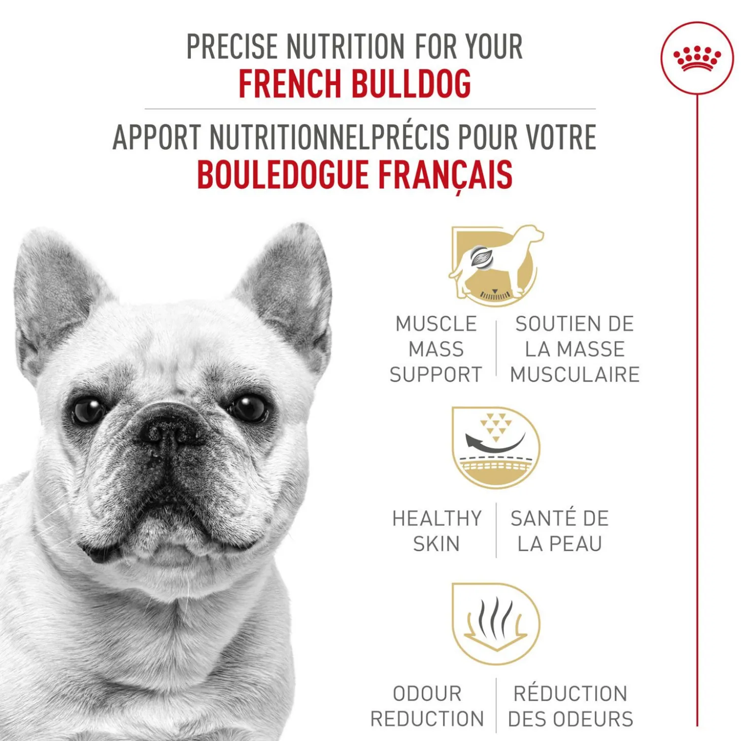 Breed Health Nutrition® French Bulldog Adult Dry Dog Food