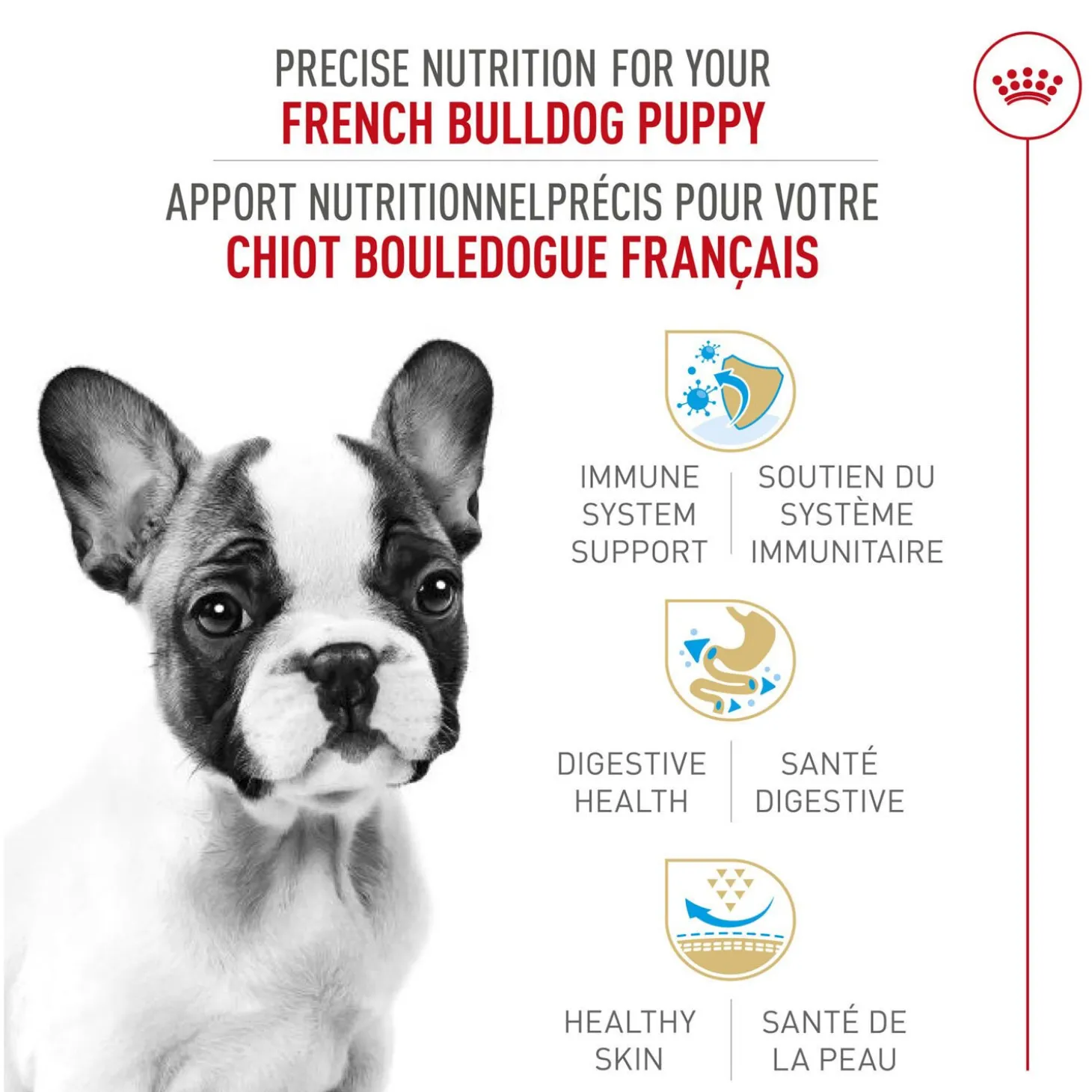 Breed Health Nutrition® French Bulldog Puppy Dry Puppy Food