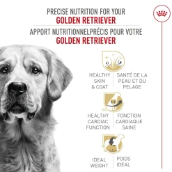Breed Health Nutrition® Golden Retriever Adult Dry Dog Food