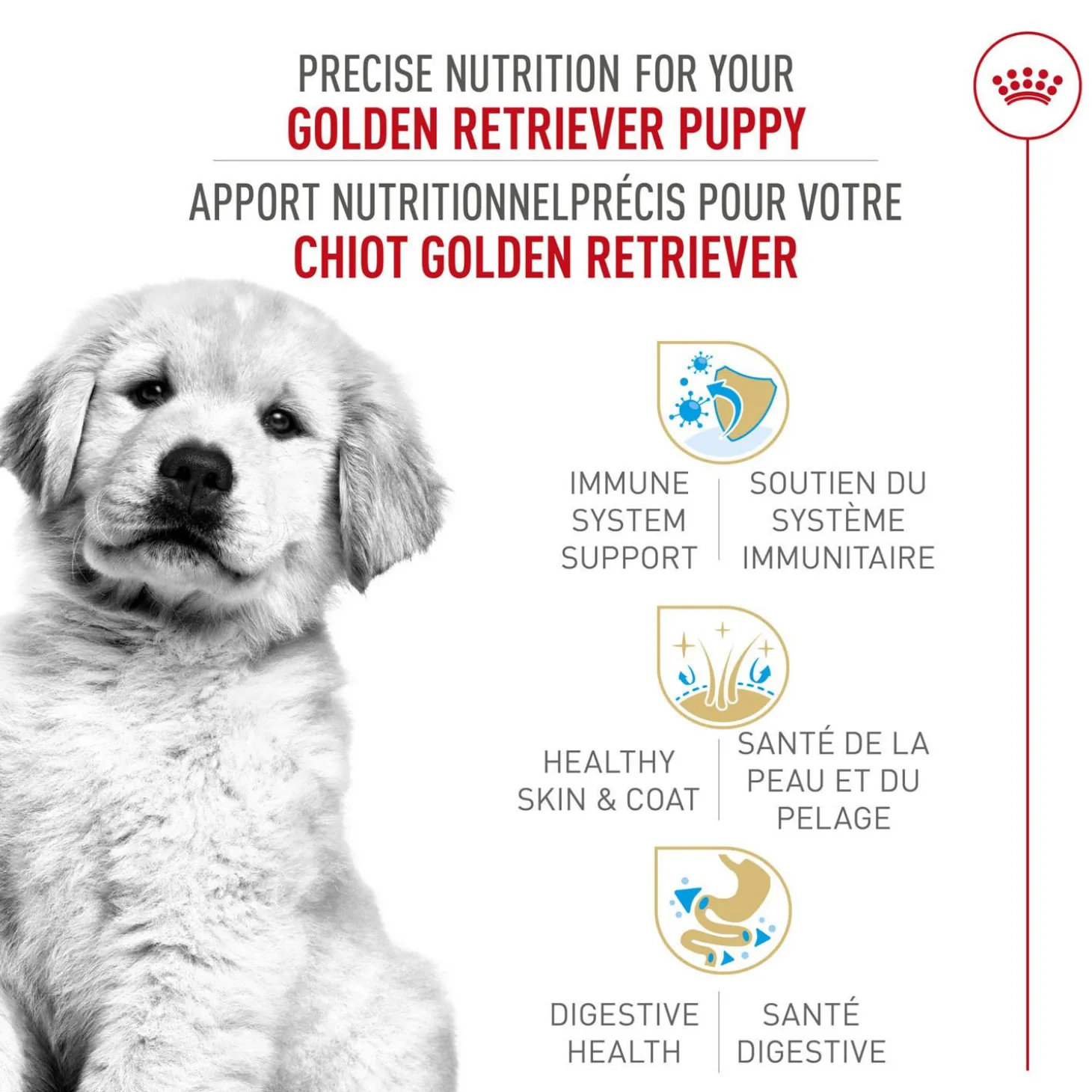 Breed Health Nutrition® Golden Retriever Puppy Dry Puppy Food
