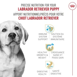 Breed Health Nutrition® Labrador Retriever Puppy Dry Food