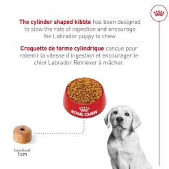 Breed Health Nutrition® Labrador Retriever Puppy Dry Food