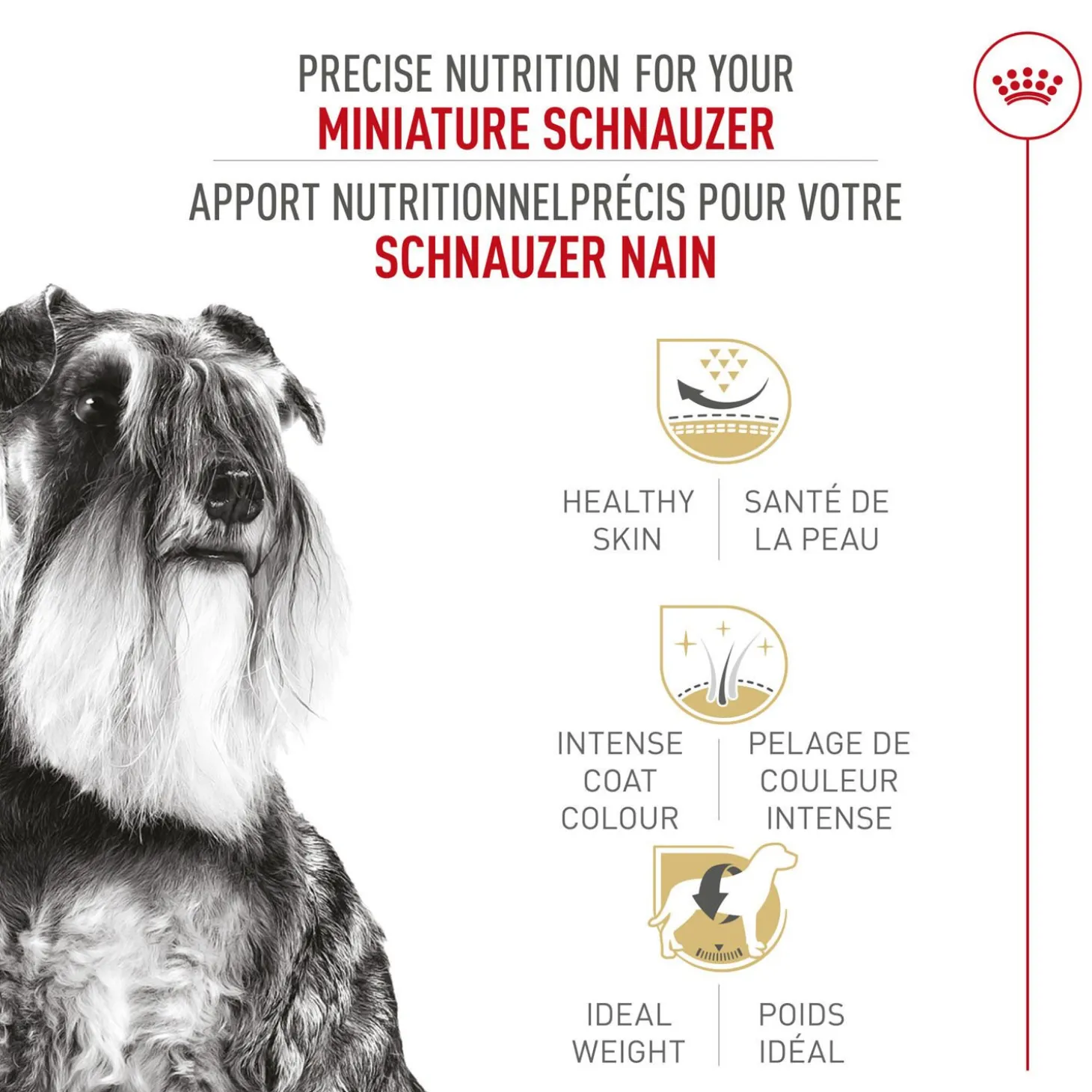 Breed Health Nutrition® Miniature Schnauzer Adult Dry Dog Food
