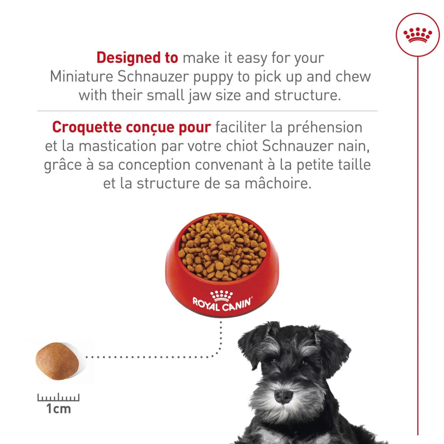 Breed Health Nutrition® Miniture Schnauzer Puppy Dry Food