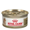 Breed Health Nutrition® Poodle Adult Canned Dog Food