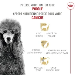 Breed Health Nutrition® Poodle Adult Dry Dog Food