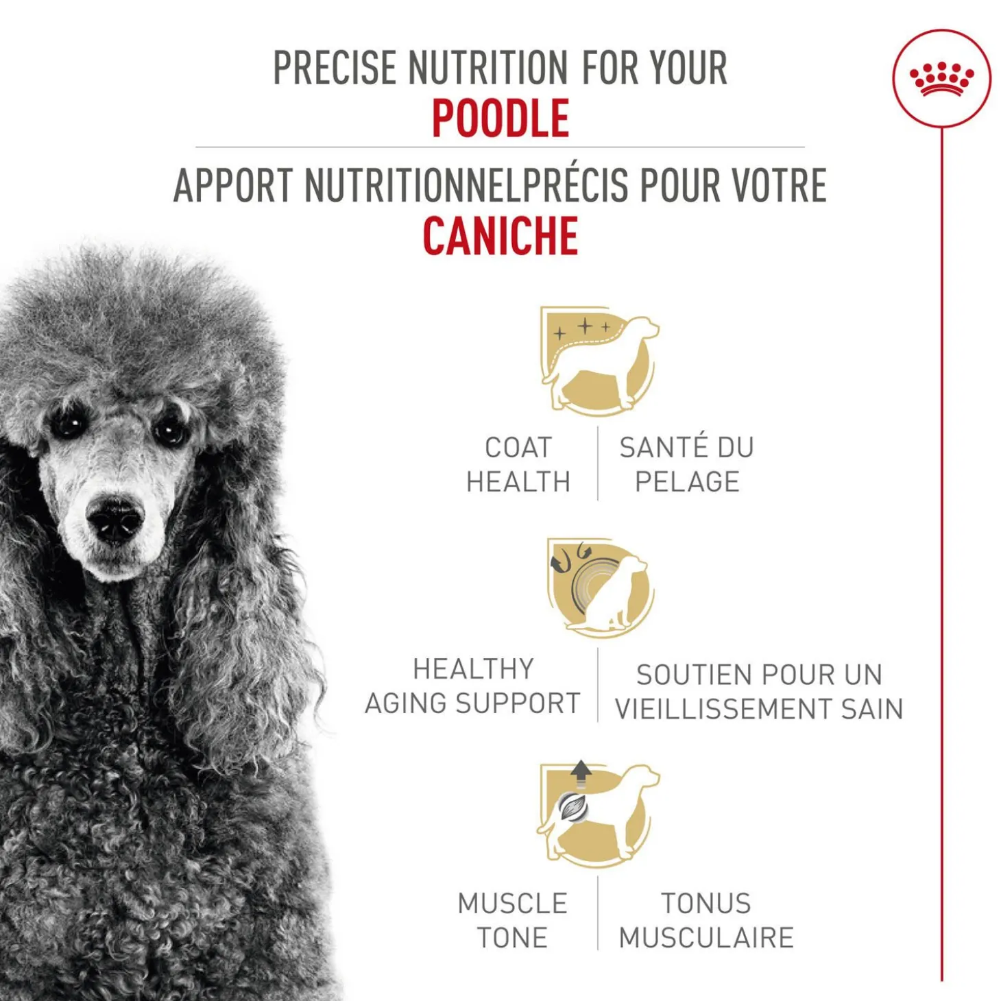 Breed Health Nutrition® Poodle Adult Dry Dog Food