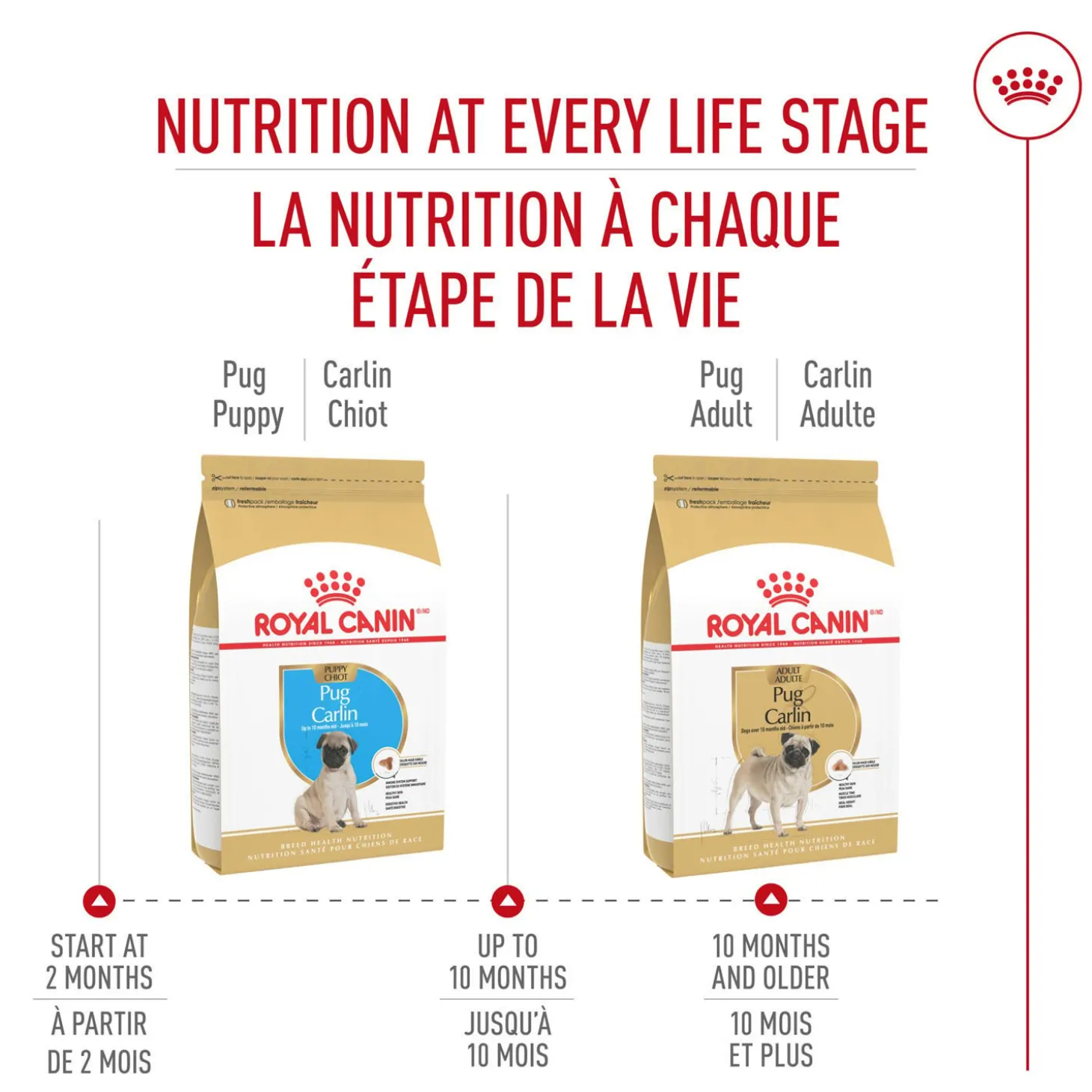 Breed Health Nutrition® Pug Puppy Dry Puppy Food