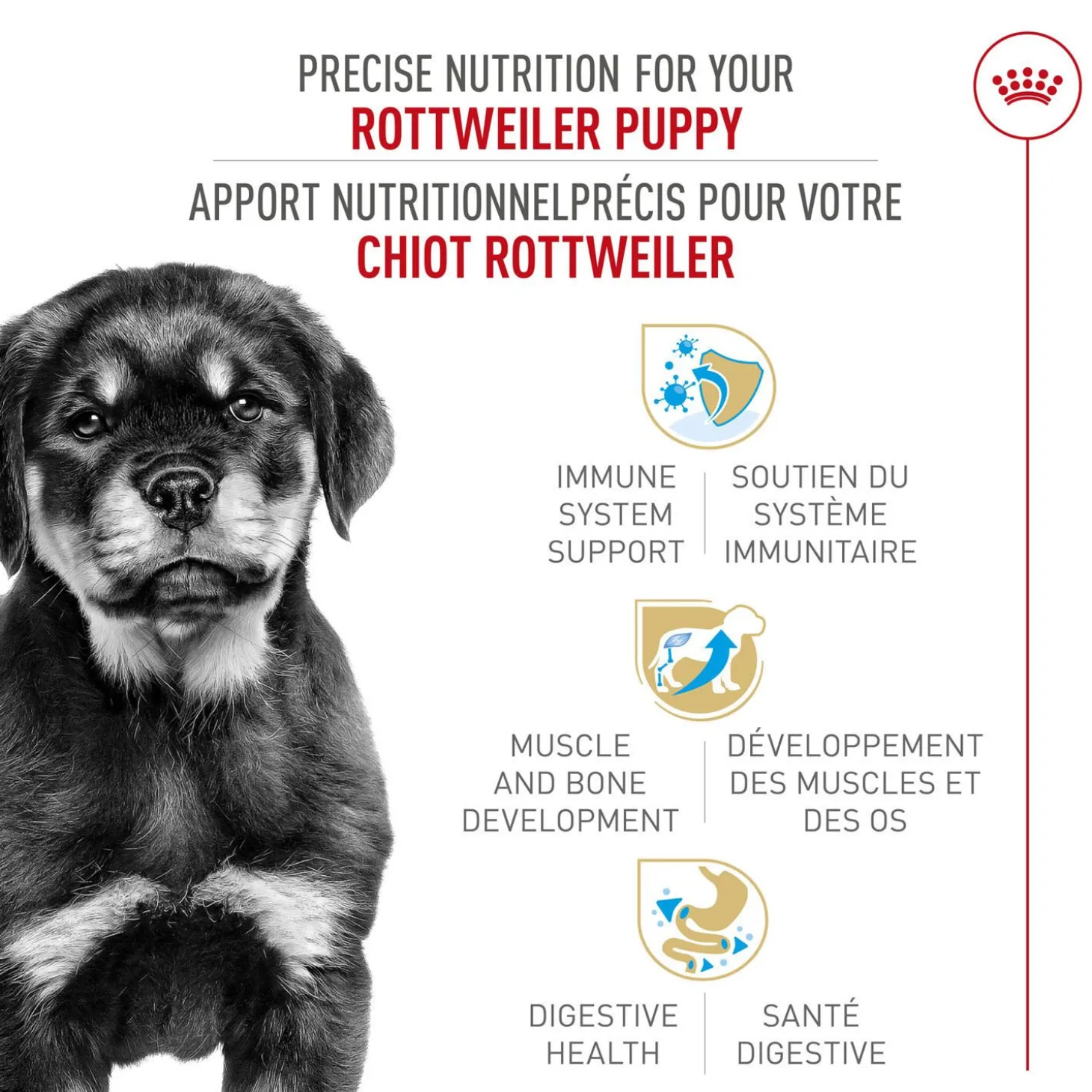 Breed Health Nutrition® Rottweiler Puppy Dry Puppy Food
