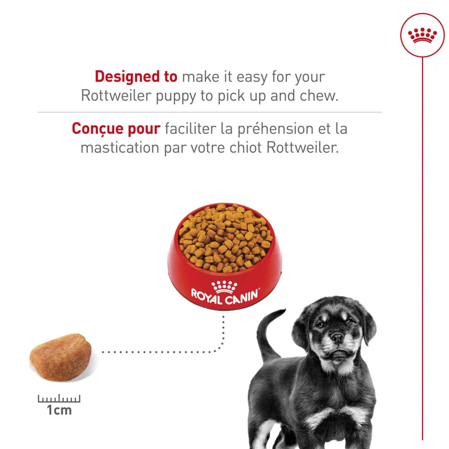 Breed Health Nutrition® Rottweiler Puppy Dry Puppy Food
