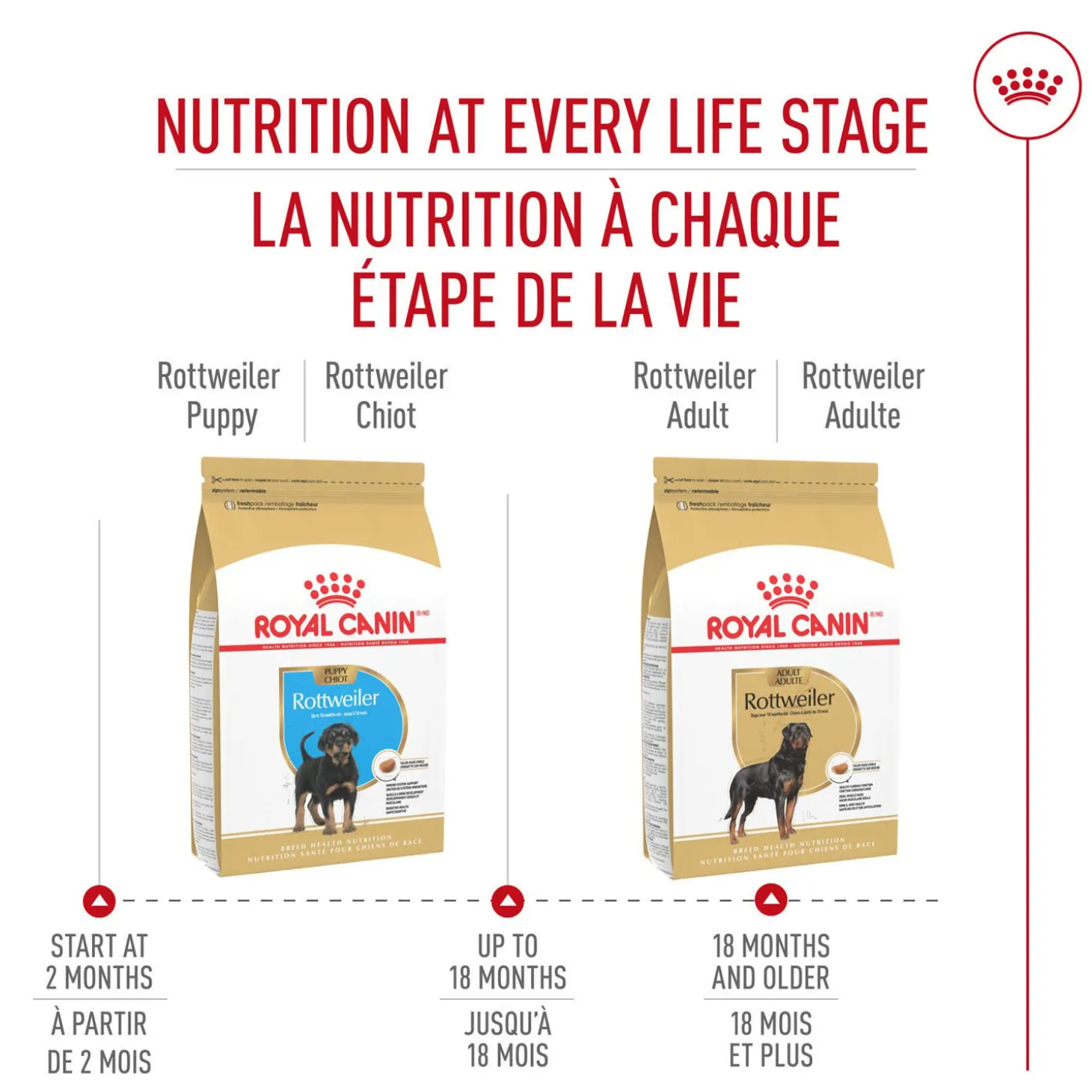 Breed Health Nutrition® Rottweiler Puppy Dry Puppy Food