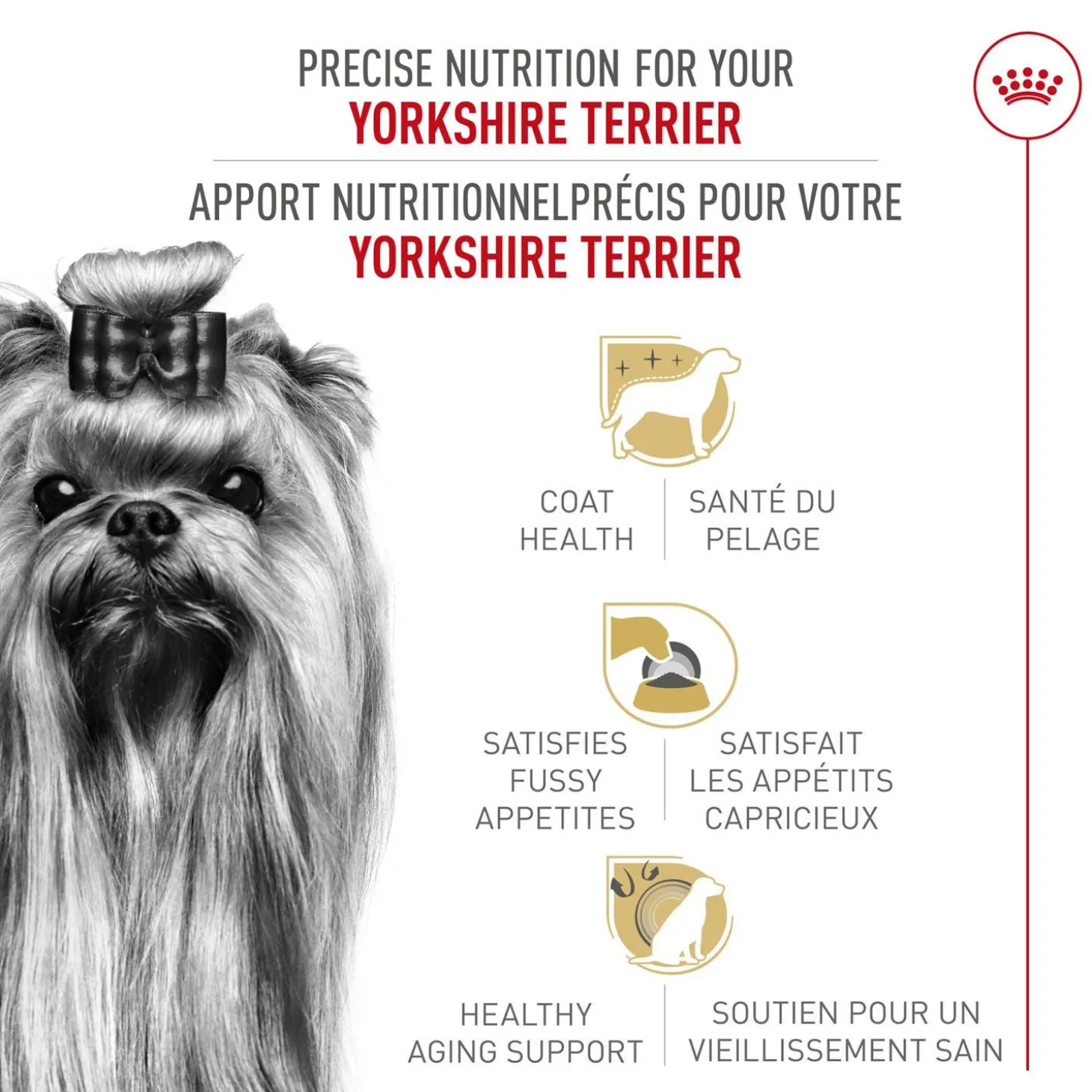 Breed Health Nutrition® Yorkshire Terrier Adult Dry Dog Food